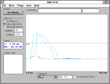 screenshot: virtual NMJ